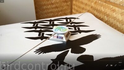 «Чистый стол»